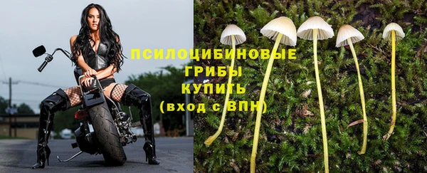 соль курить ск Алексин