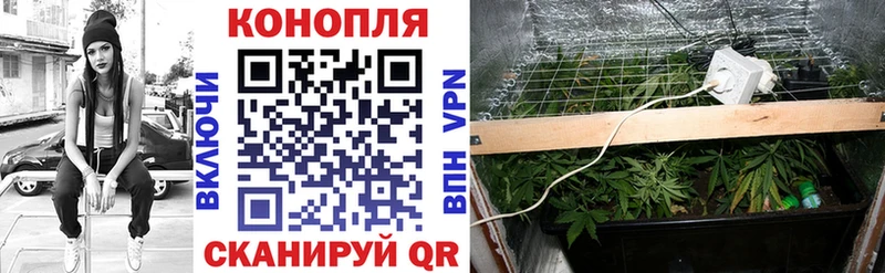 Бошки марихуана Amnesia  Алушта 